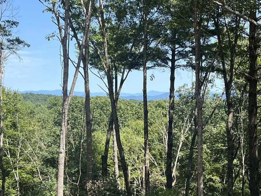 Lot 7 Austin Mountain Road, Mineral Bluff, GA 30559 - #3