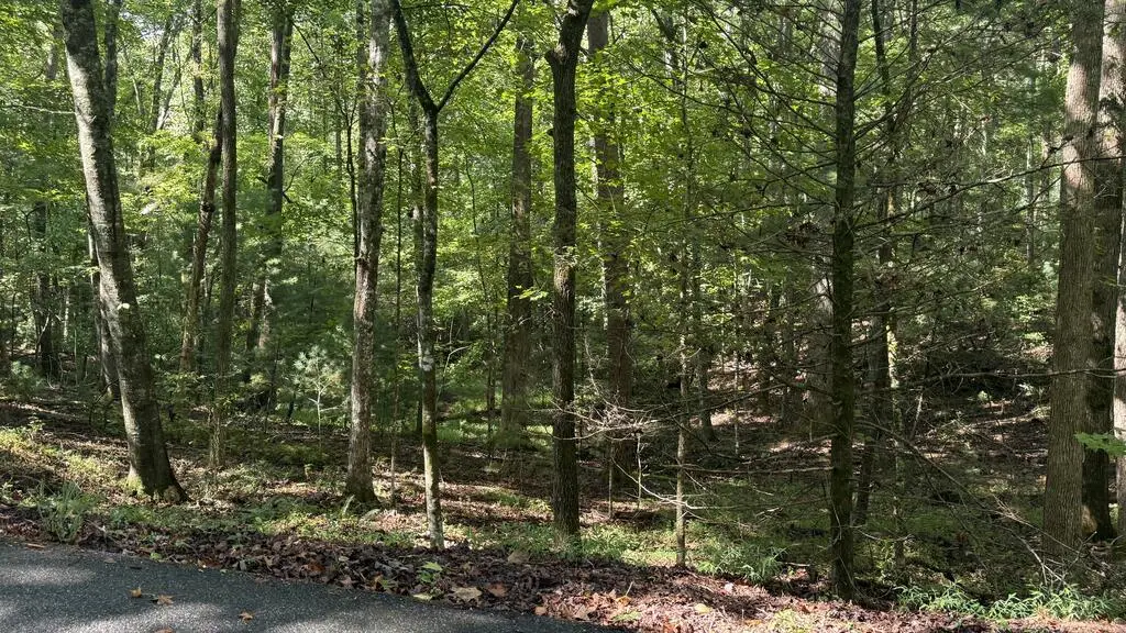 00 River Ridge Road, Blue Ridge, GA 30513 - #1