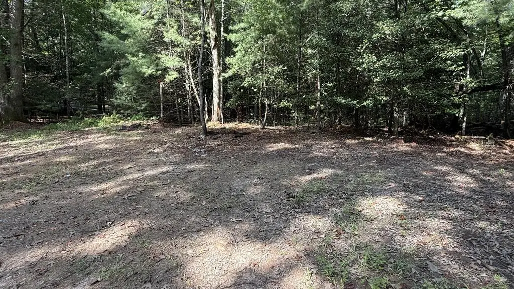 6 River Ridge Road, Blue Ridge, GA 30513 - #1