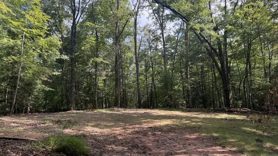 6 River Ridge Road, Blue Ridge, GA 30513 - #2