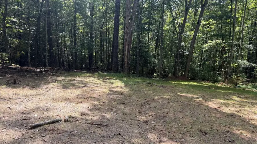 6 River Ridge Road, Blue Ridge, GA 30513 - #3