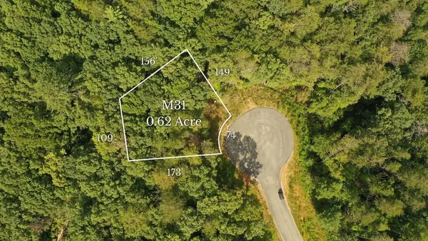 M31 Pine Valley Road, Mineral Bluff, GA 30559