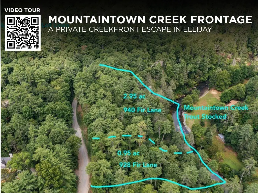 928 Fir Lane, Ellijay, GA 30540 - #1