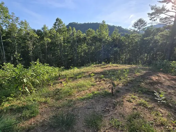 Lot 67 Hi River Country, Hiawassee, GA 30546