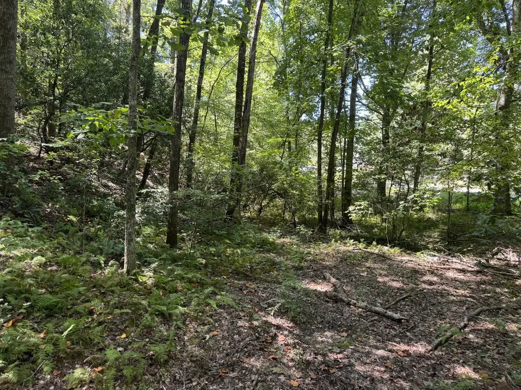 0 Laurel Ridge Drive, Cherry Log, GA 30522 - #1