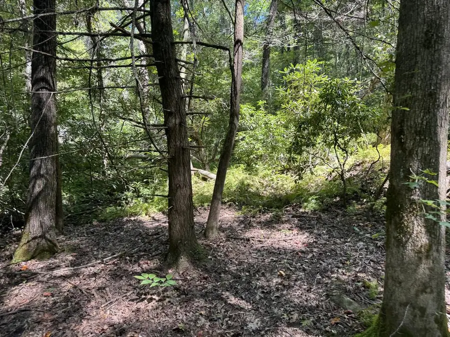 0 Laurel Ridge Drive, Cherry Log, GA 30522 - #2