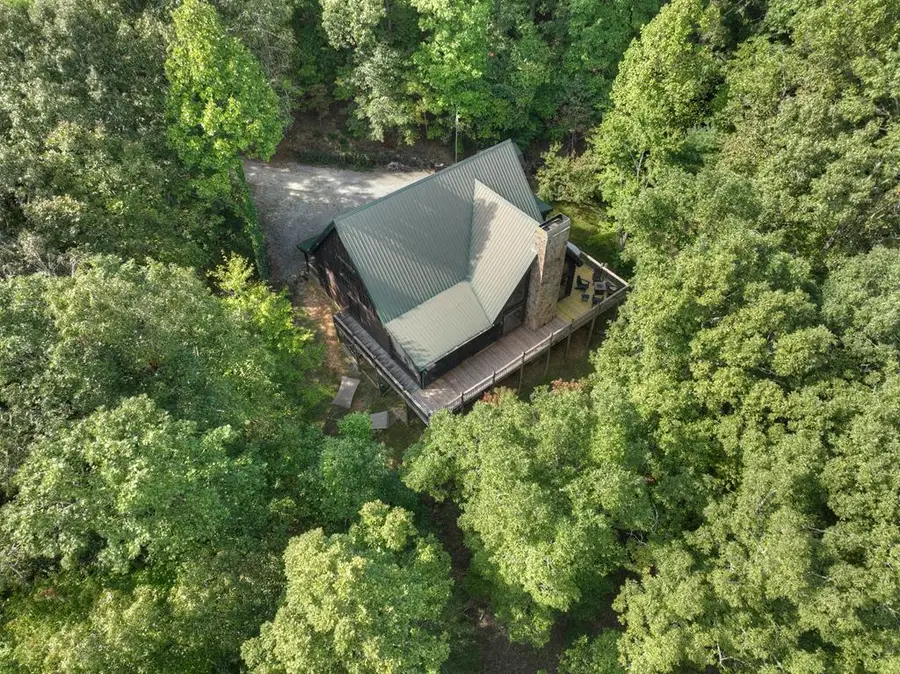 210 Indian Lake Road, Mineral Bluff, GA 30559 - #2