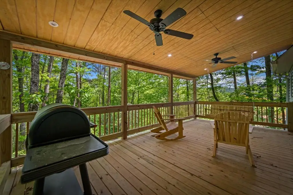 201 Minnehaha Trail, Blue Ridge, GA 30513 - #1