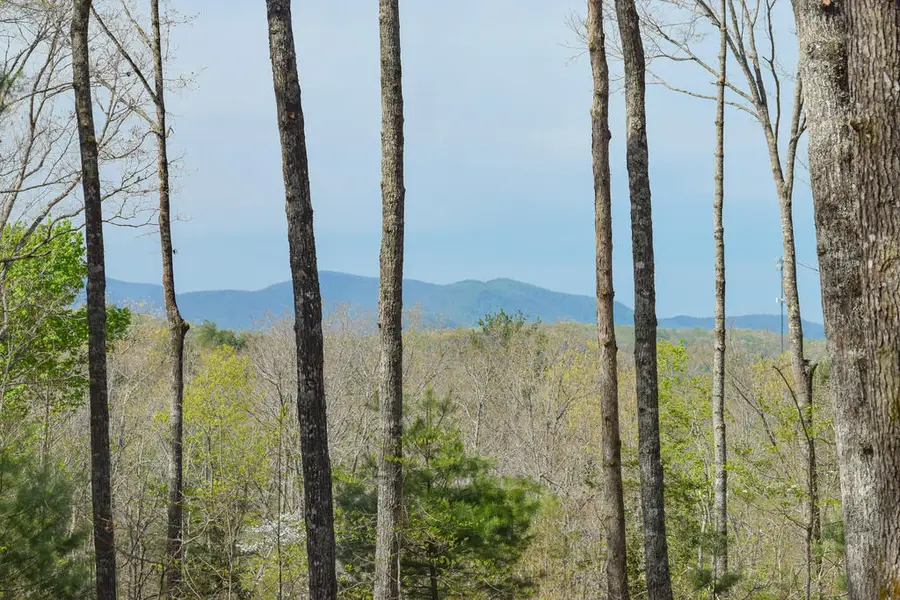 375 Ridge Brook Drive, Morganton, GA 30560 - #2