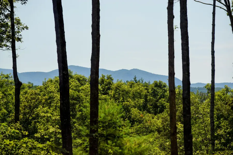 375 Ridge Brook Drive, Morganton, GA 30560 - #3