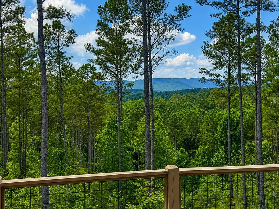230 High River Landing, Ellijay, GA 30540 - #3