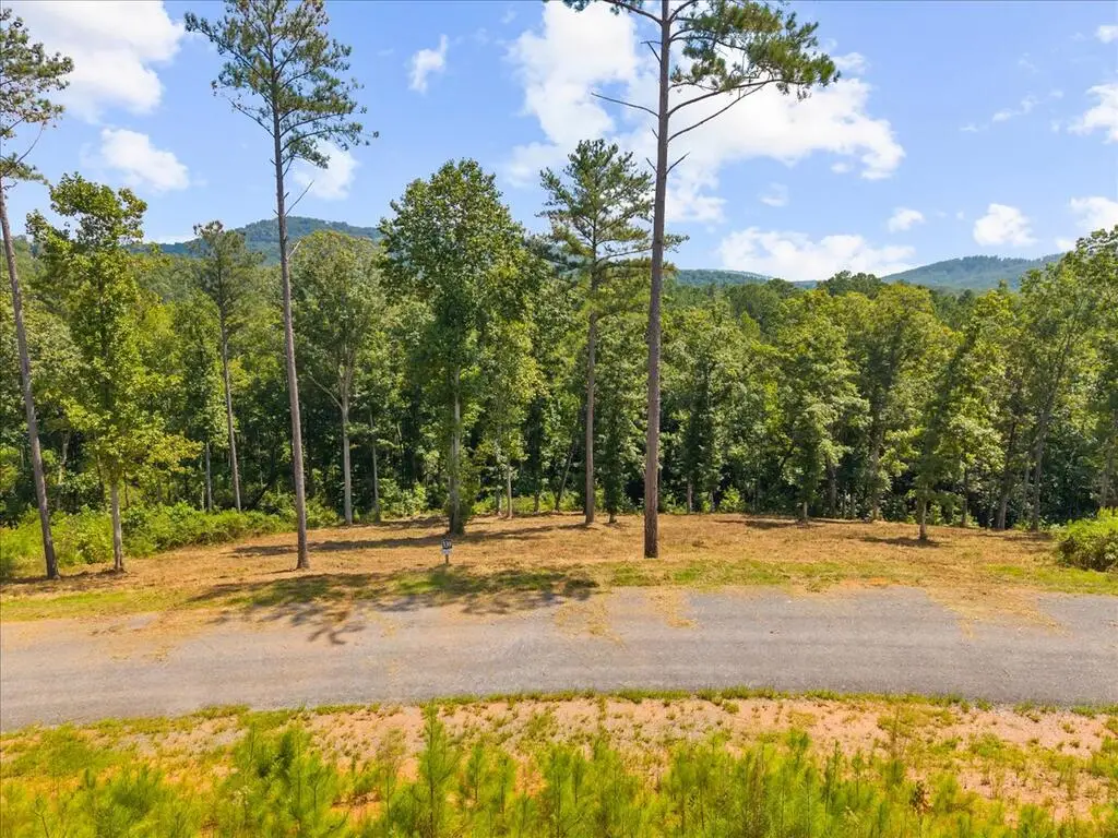 Lot 339 Timber Creek Trail, Talking Rock, GA 30175 - #1