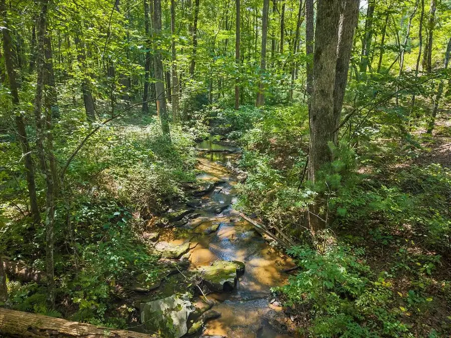 Lot 339 Timber Creek Trail, Talking Rock, GA 30175 - #3