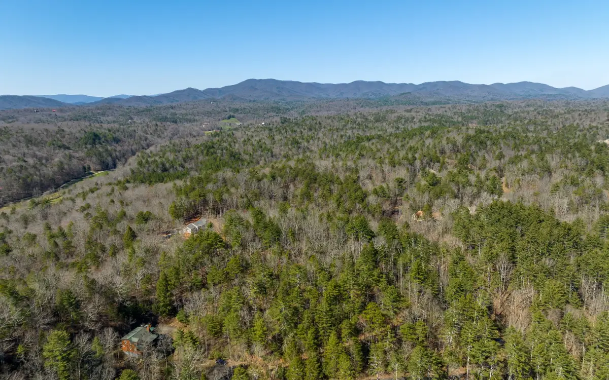 3+AC Coatopa Court, Ellijay, GA 30540 - #1