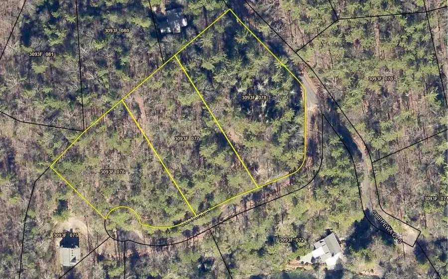 3+AC Coatopa Court, Ellijay, GA 30540 - #2