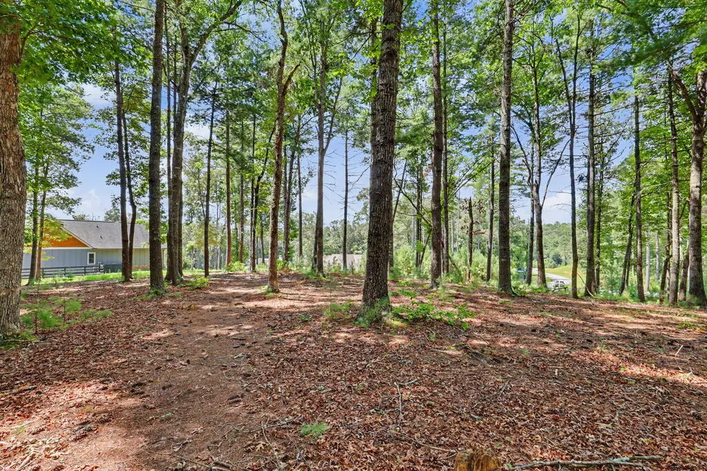 Lot 5 Lot 5, Blairsville, GA 30512 - #1
