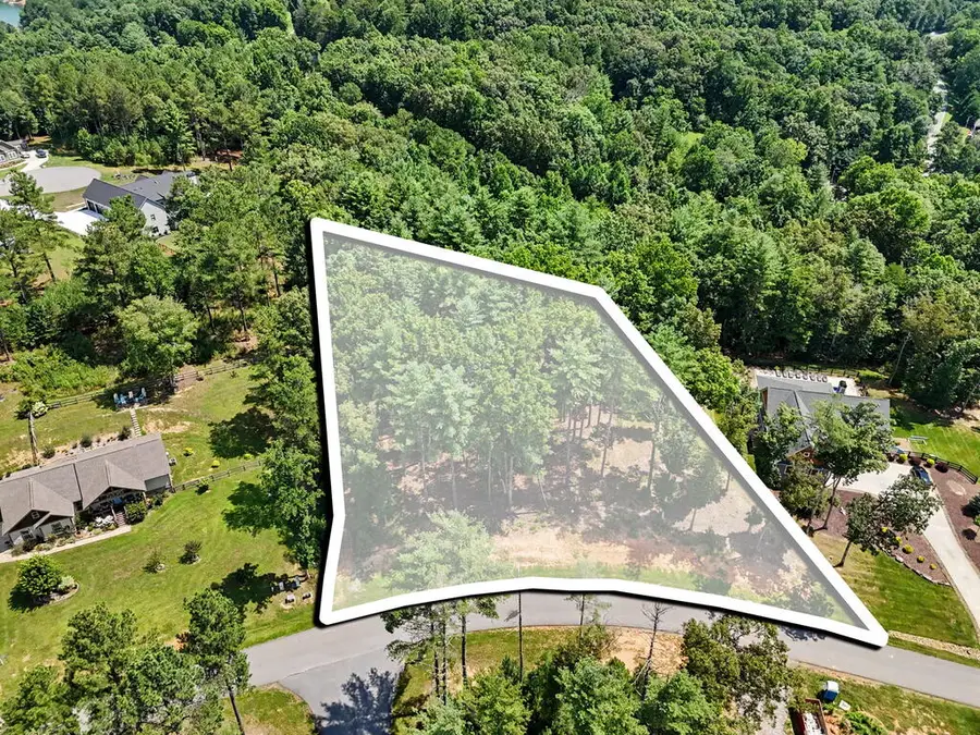 Lot 5 Lot 5, Blairsville, GA 30512 - #2