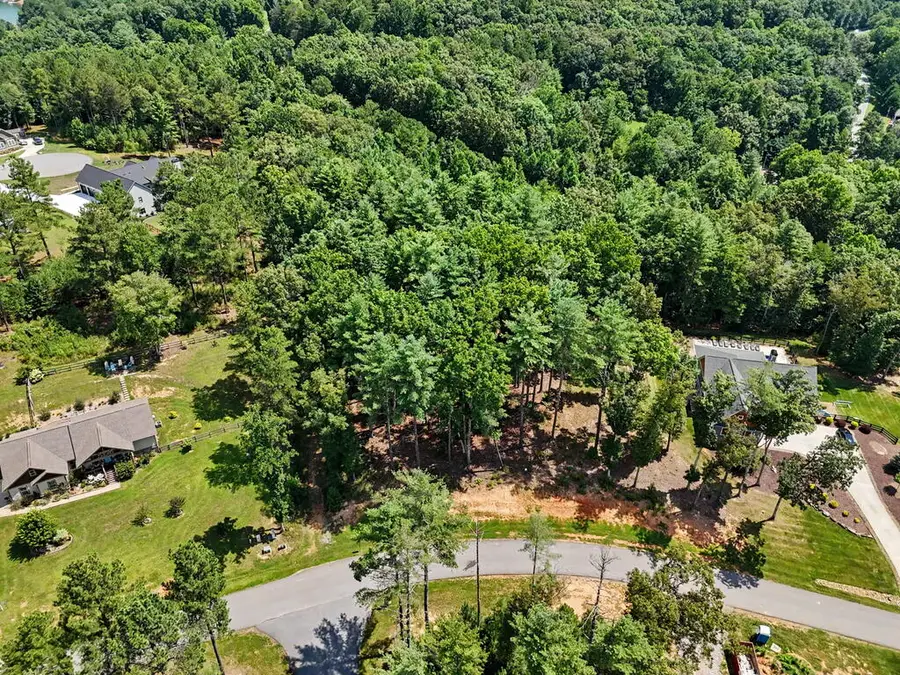 Lot 5 Lot 5, Blairsville, GA 30512 - #3