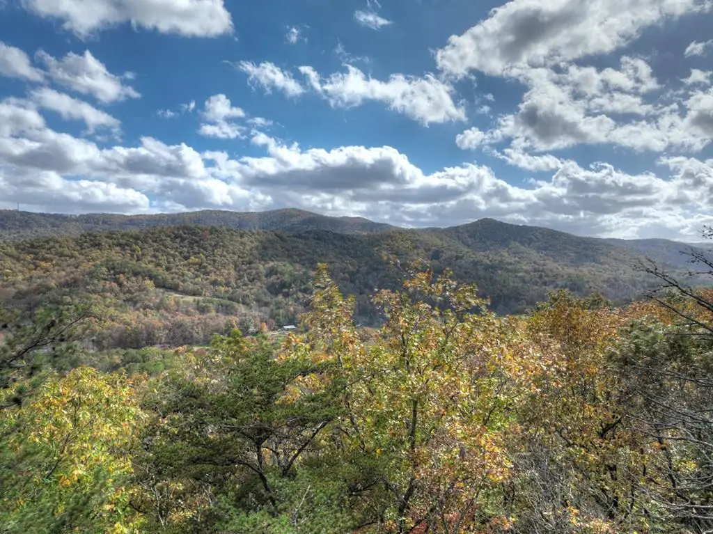 23.26 Ac Weaver Creek Road, Blue Ridge, GA 30513 - #1