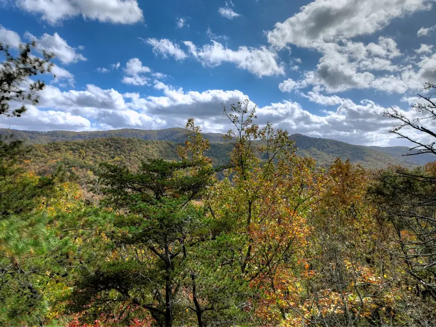 23.26 Ac Weaver Creek Road, Blue Ridge, GA 30513 - #3