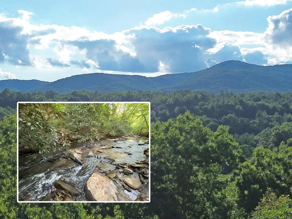 Lots1920 Mt. Springer Road, Ellijay, GA 30540 - #1