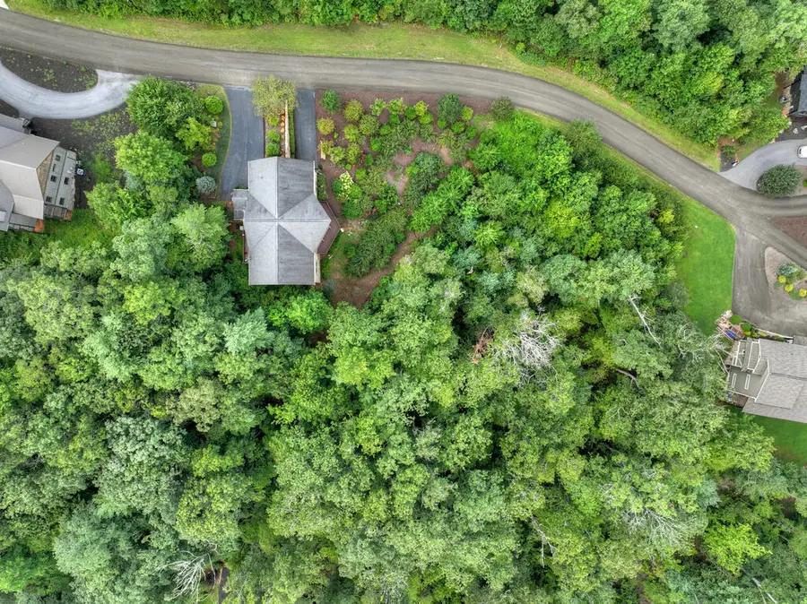 78 Longview Lane, Blue Ridge, GA 30513 - #3