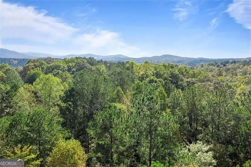 72 Mountain Creek Hollow Drive, Talking Rock, GA 30175 - #1