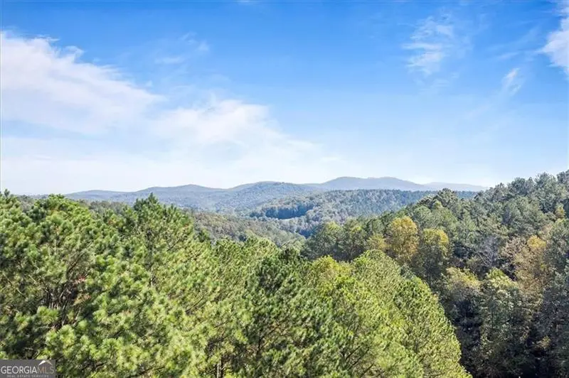 72 Mountain Creek Hollow Drive, Talking Rock, GA 30175 - #3