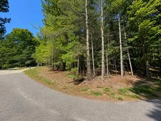 3.87 AC Skeenah Highlands Road, Blairsville, GA 30512
