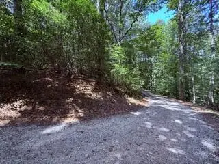 3.87 AC Skeenah Highlands Road, Blairsville, GA 30512 - #2