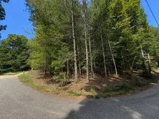 3.87 AC Skeenah Highlands Road, Blairsville, GA 30512 - #3