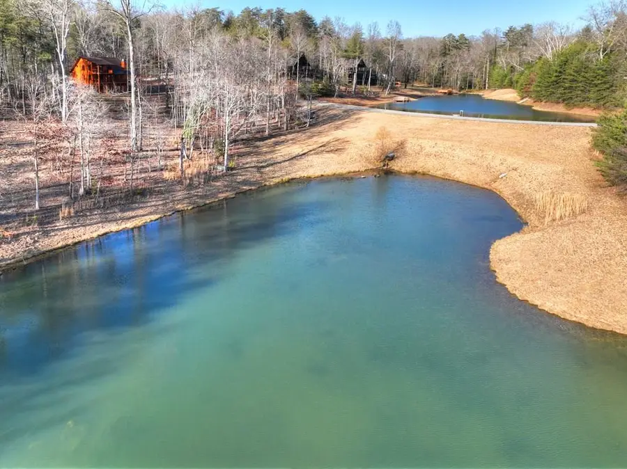 17 Dial Mountain Drive, Blue Ridge, GA 30513 - #2