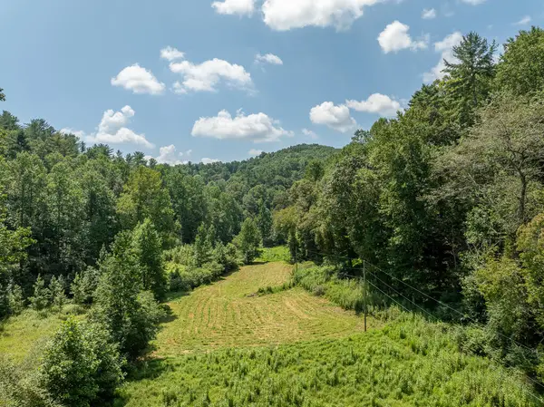 14.97AC Wolf Pen Gap Road, Ellijay, GA 30540