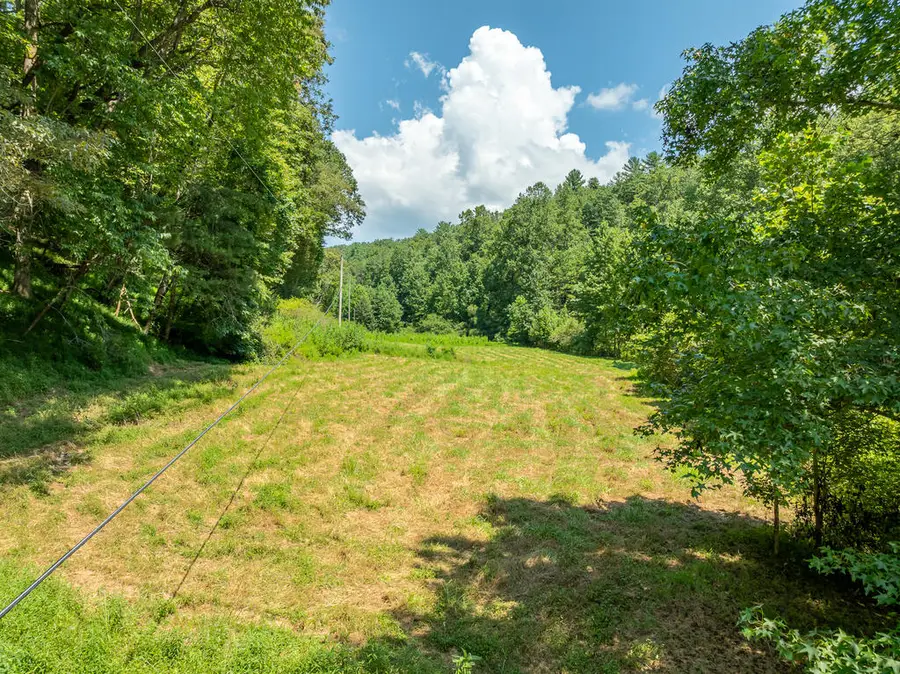 14.97AC Wolf Pen Gap Road, Ellijay, GA 30540 - #2