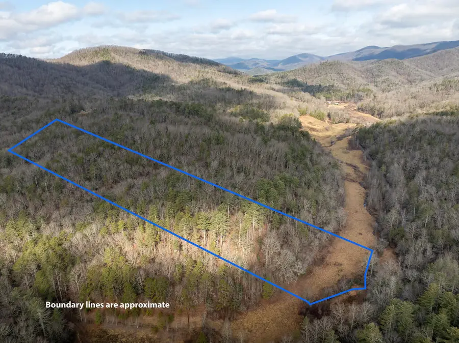 14.97AC Wolf Pen Gap Road, Ellijay, GA 30540 - #3