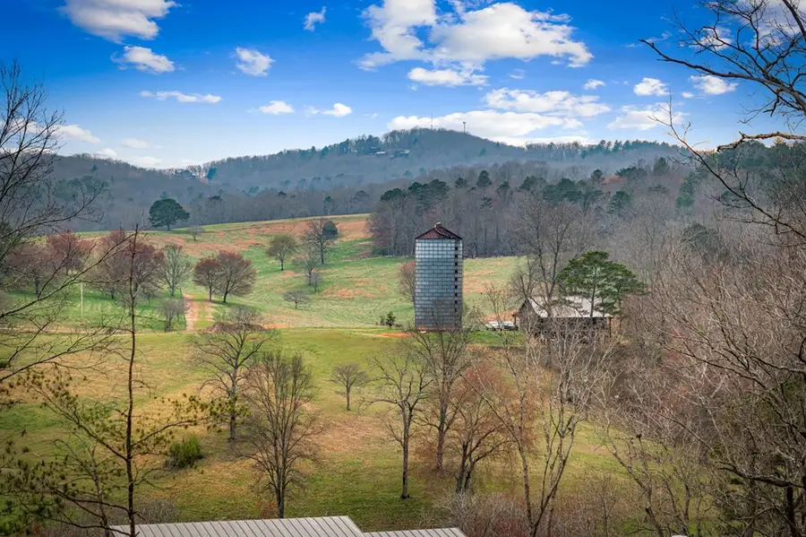 416 Windy Valley Trail, Blue Ridge, GA 30513 - #2