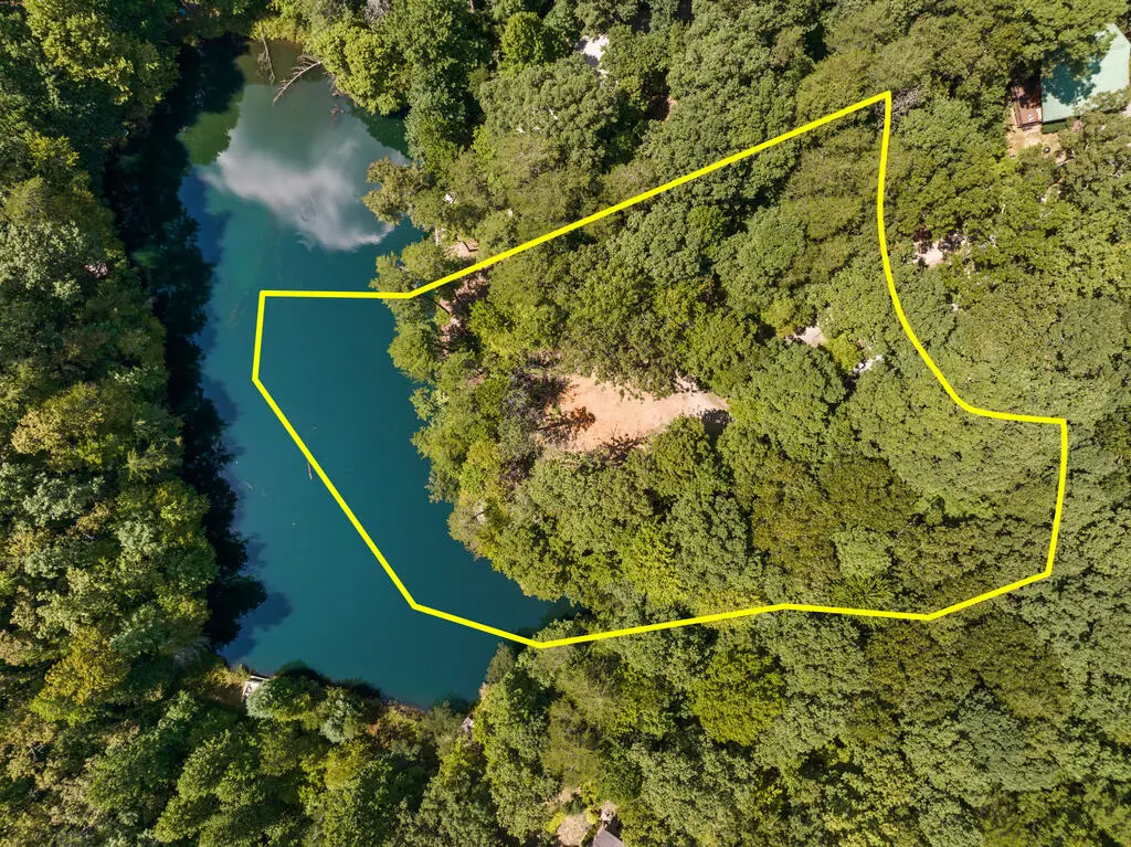 LT 44&45 Overlook Drive, Cherry Log, GA 30522 - #1