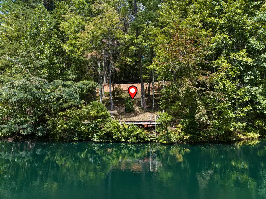 LT 44&45 Overlook Drive, Cherry Log, GA 30522 - #2