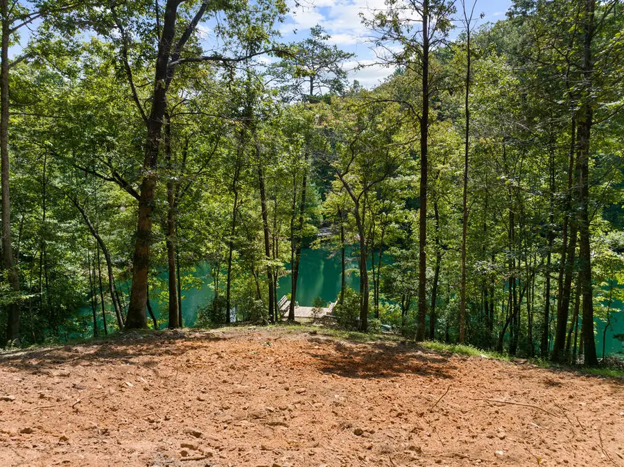 LT 44&45 Overlook Drive, Cherry Log, GA 30522 - #3