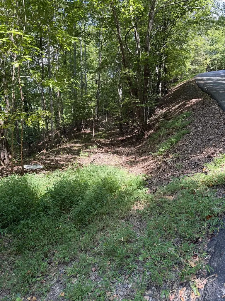 Lot 55 Eagles View Road, Hayesville, NC 28904 - #3