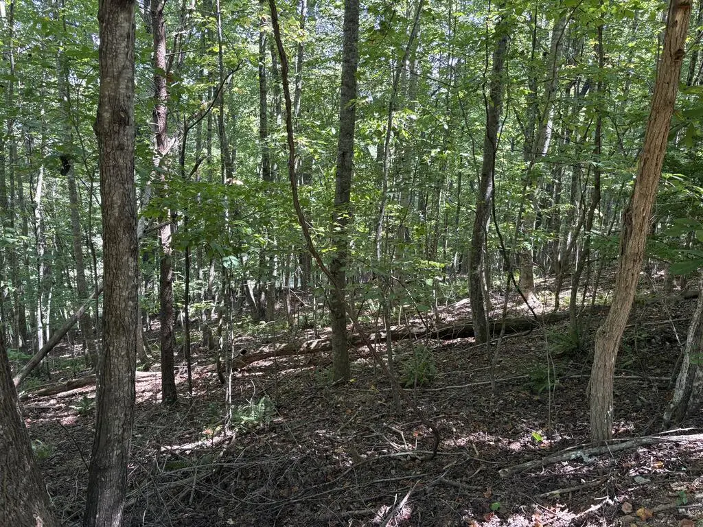 Lot 14 White Oak Drive, Warne, NC 28909 - #1