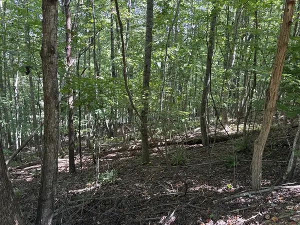 Lot 14 White Oak Drive, Warne, NC 28909