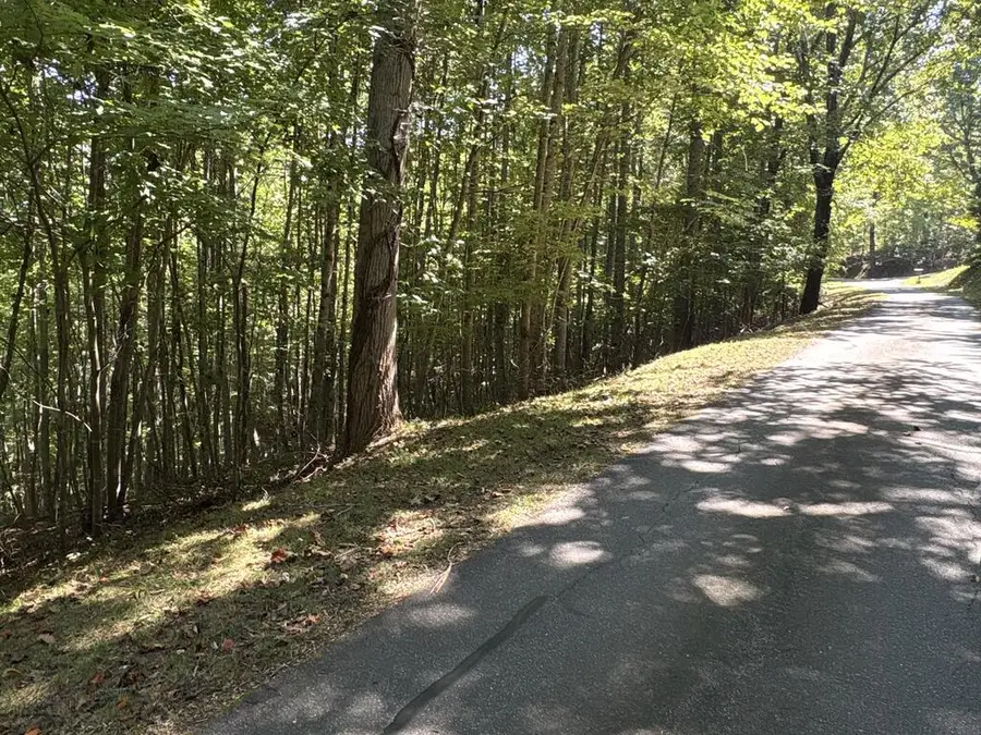 Lot 14 White Oak Drive, Warne, NC 28909 - #2