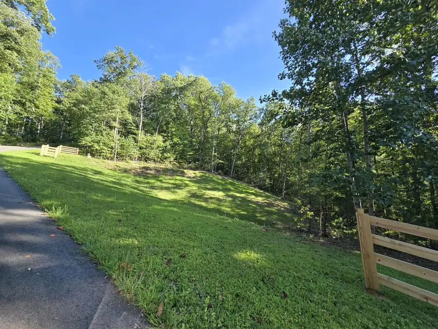 Lot 8 Wolfpen Gap Road, Hiawassee, GA 30546 - #2