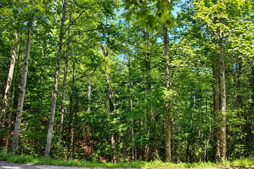 Lot 18 Wilderness Walk, Blairsville, GA 30512 - #1