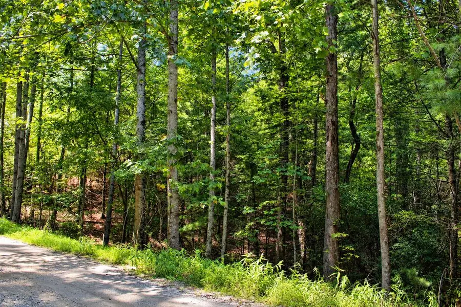 Lot 18 Wilderness Walk, Blairsville, GA 30512 - #3