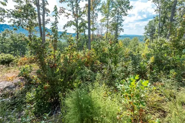 0 Highgrove Drive, Talking Rock, GA 30175