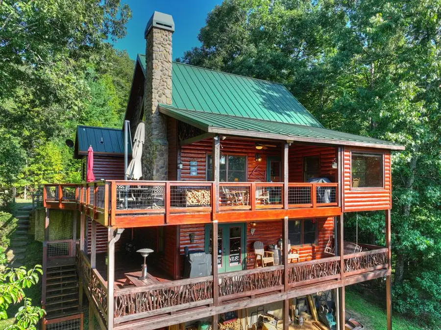 16 Mid Mountain Road, Mineral Bluff, GA 30559 - #3