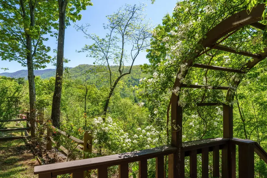 45 Black Bear Trace, Murphy, NC 28906 - #2