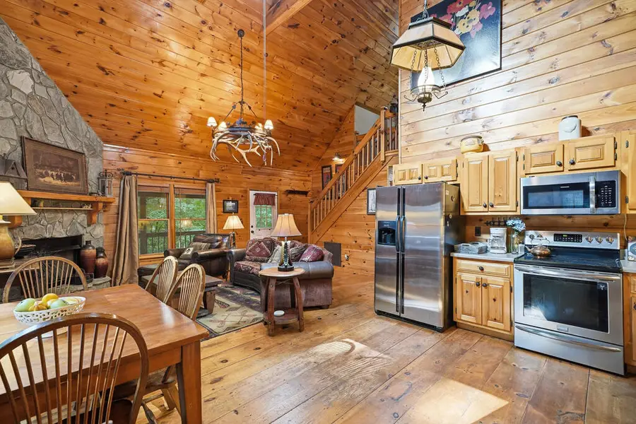 153 Blackberry Falls Drive, Ellijay, GA 30540 - #2